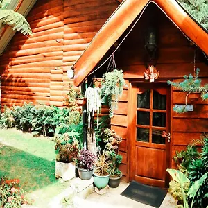 Chalet Moon Plains Forest Log